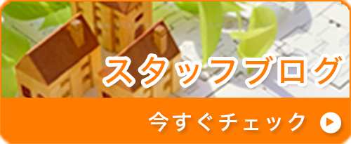 スタッフブログ